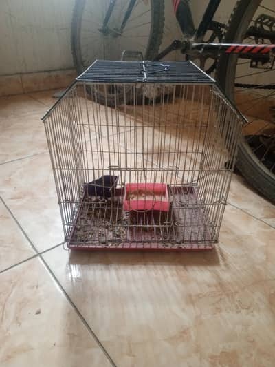 cage for parrot