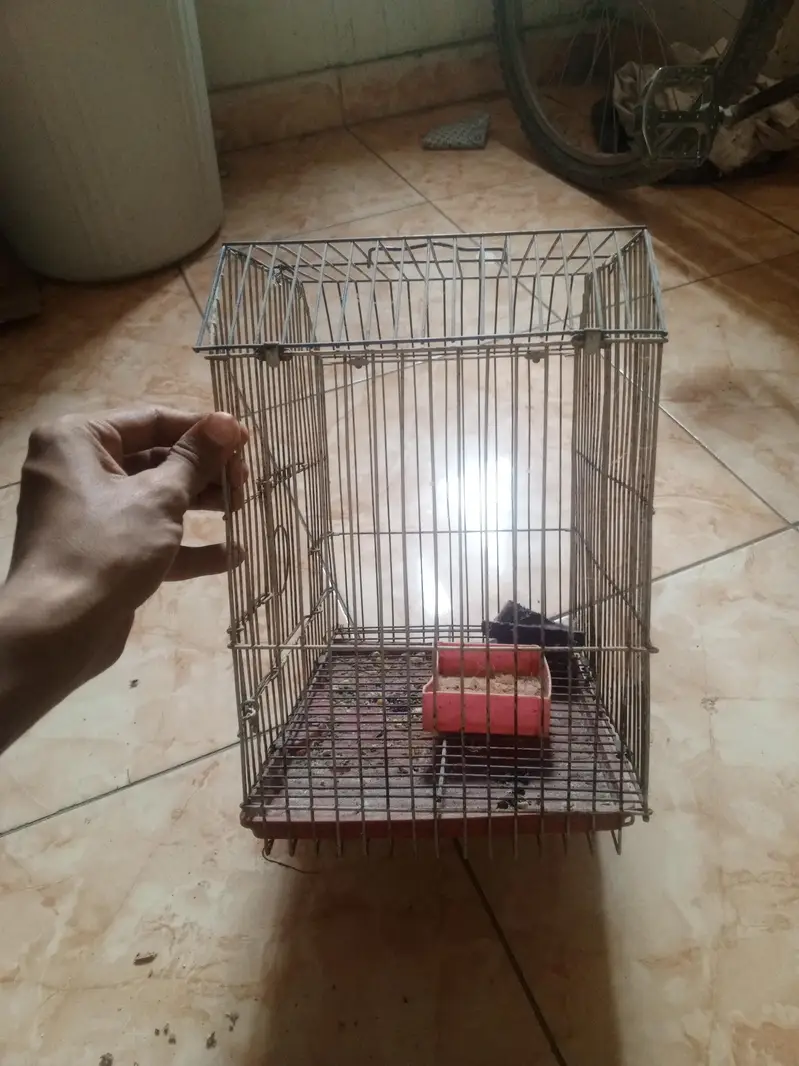 cage for parrot — photo 2
