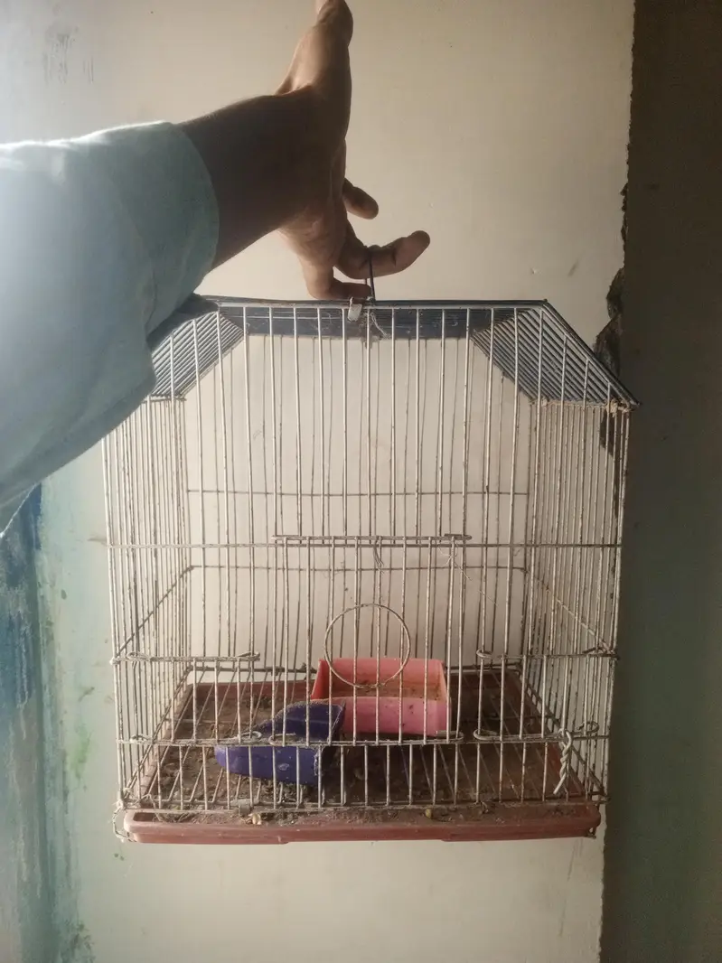 cage for parrot — photo 3