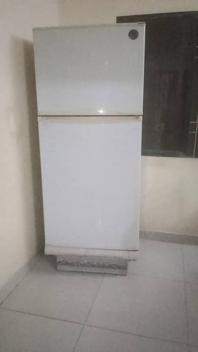 Philiphs 2 Door Fridge | Jumbo Size | Compressor are not working