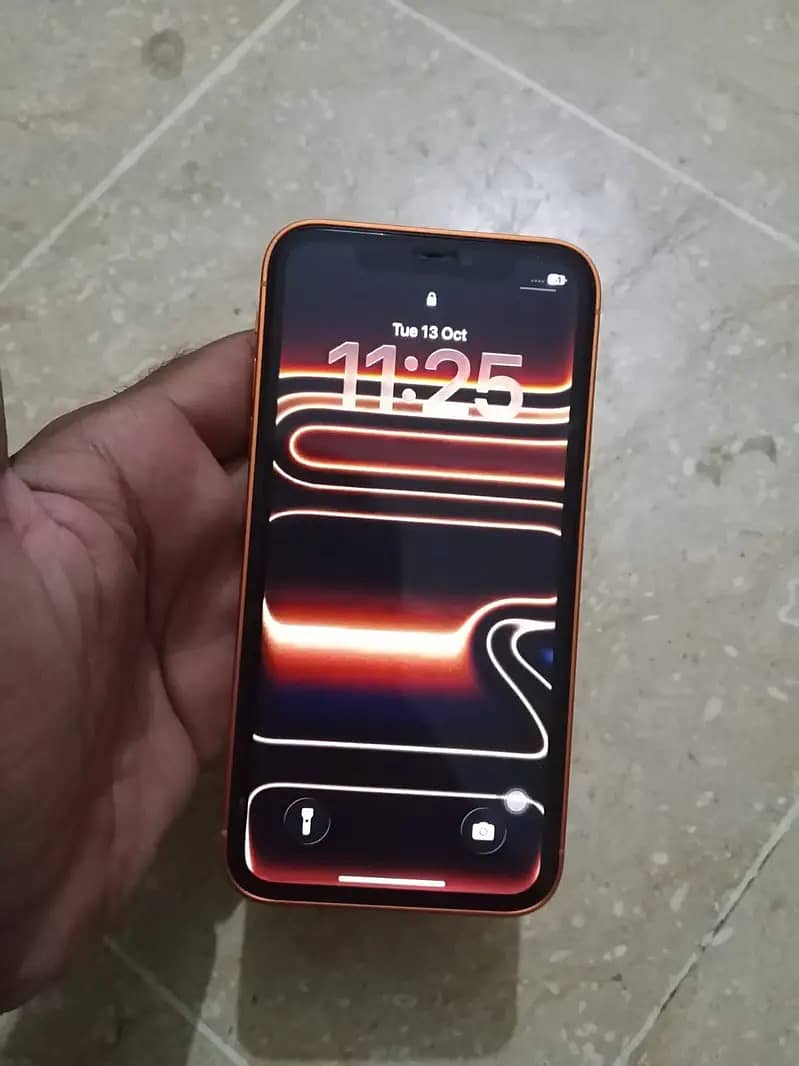 Apple iPhone 11 0