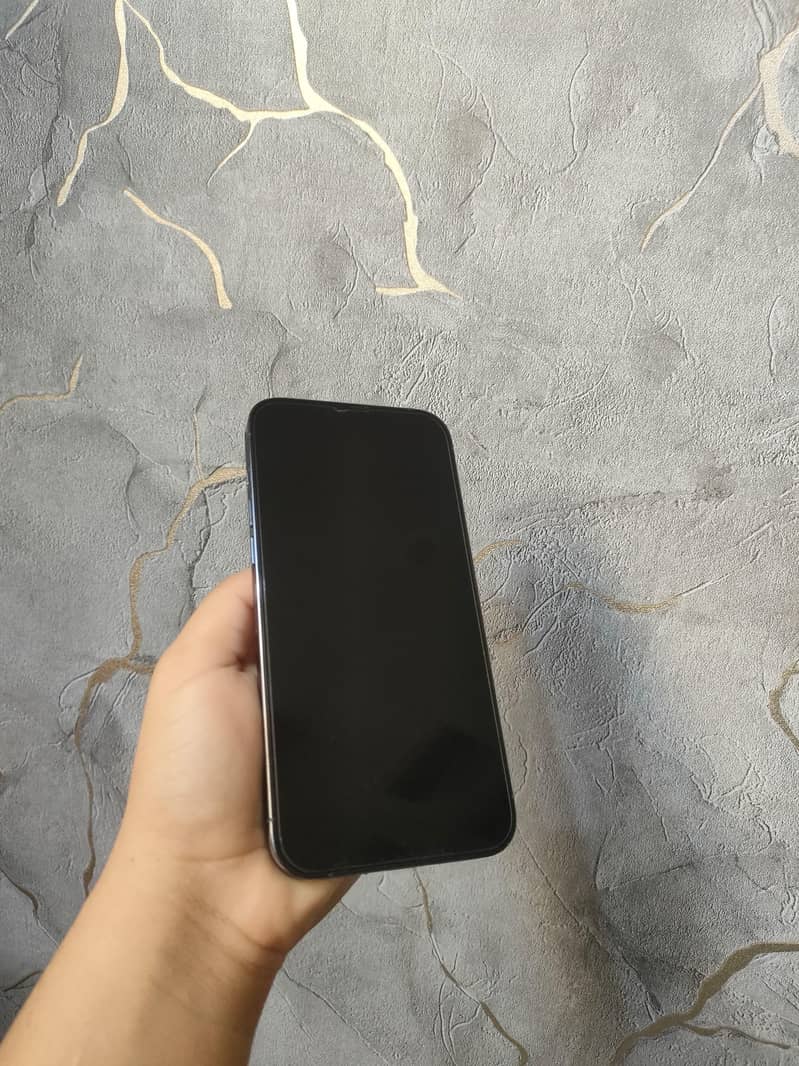 Apple iPhone 13 Pro Max 3