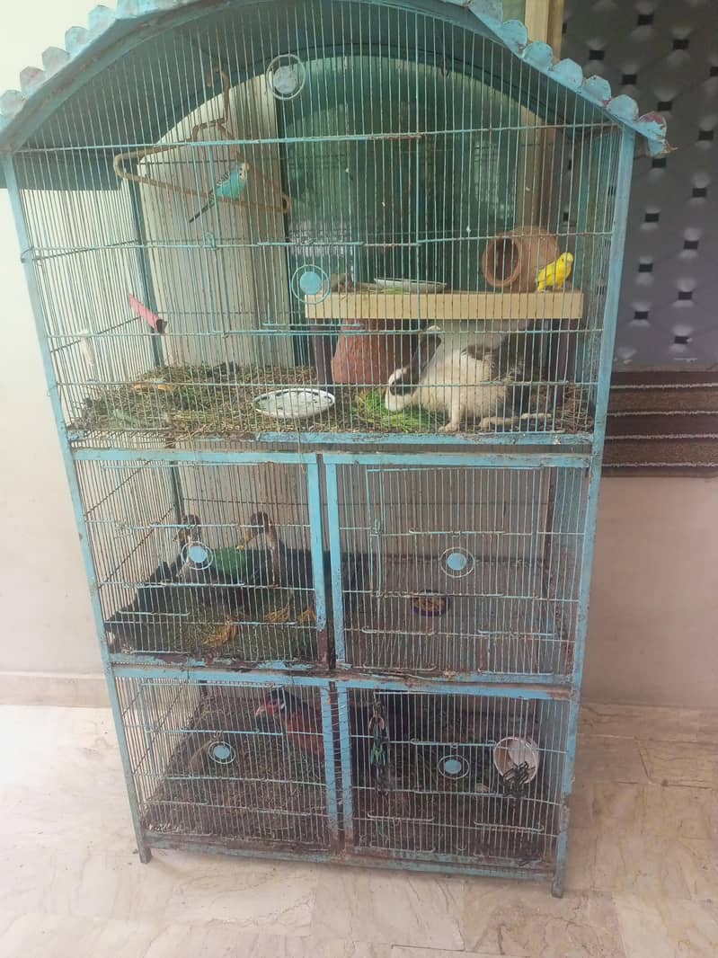 large cage 1
