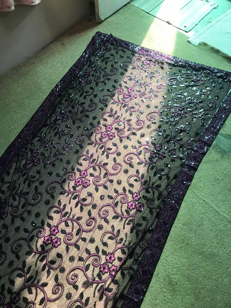 beautiful saree 1