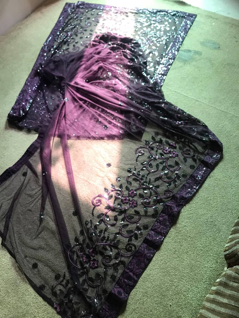 beautiful saree 2