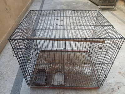 Parrot Cage