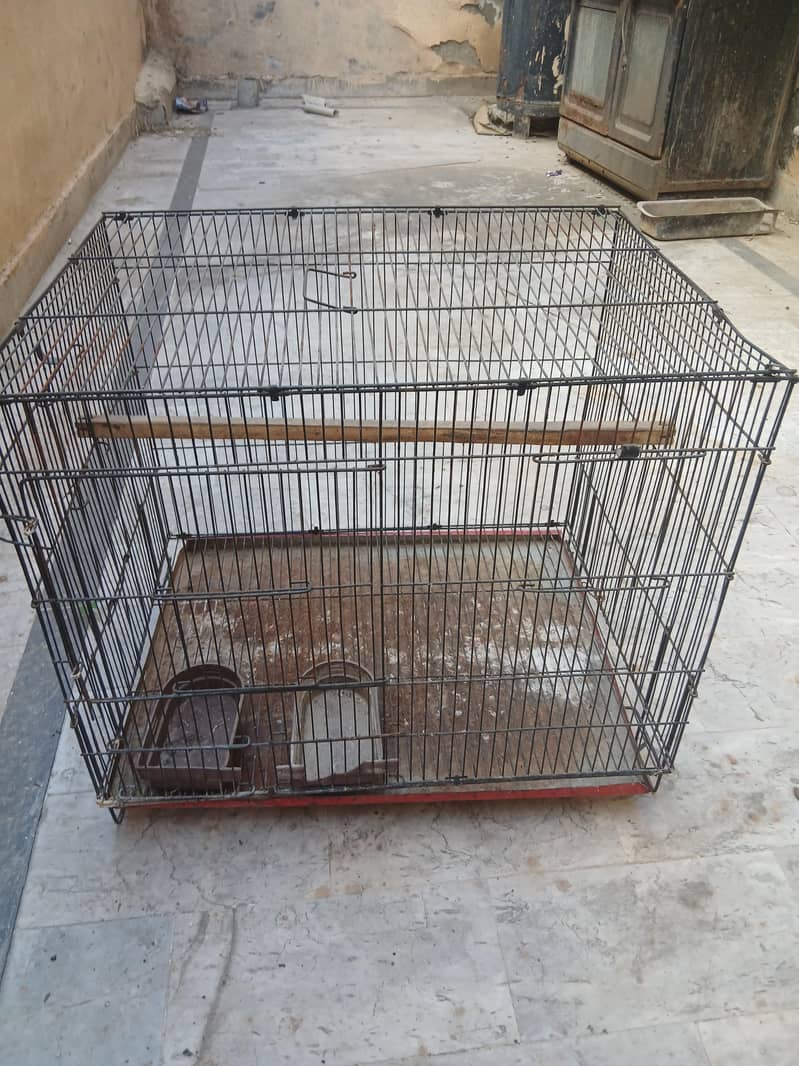 Parrot Cage 1