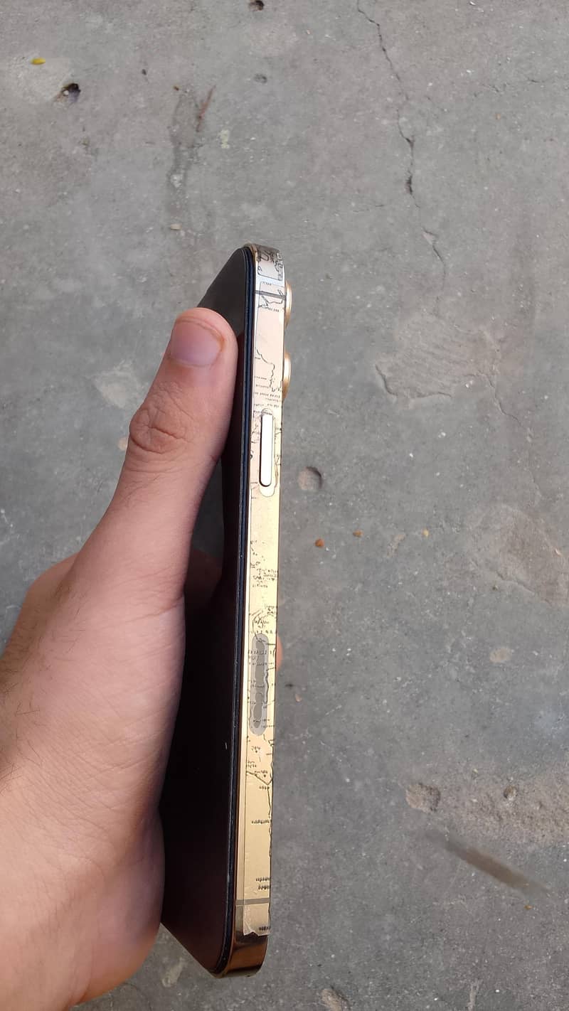Apple iPhone 13 Pro Max 1
