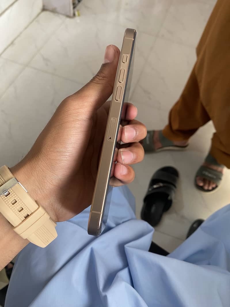 Apple iPhone 16 Pro Max 3