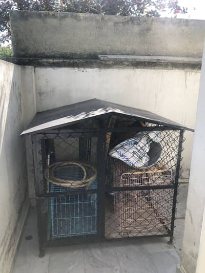 New Dog kennel - Heavy gauge  03165339948