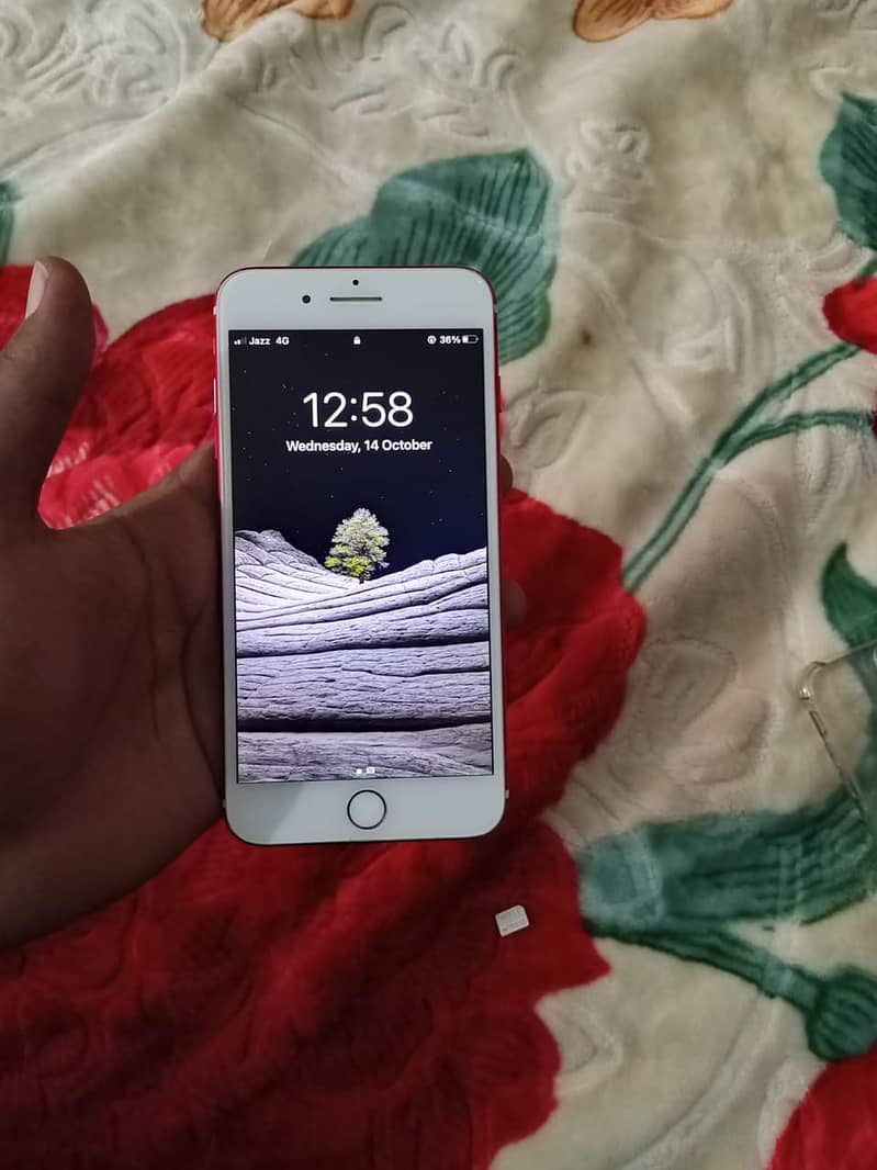Apple iPhone 7 Plus 1