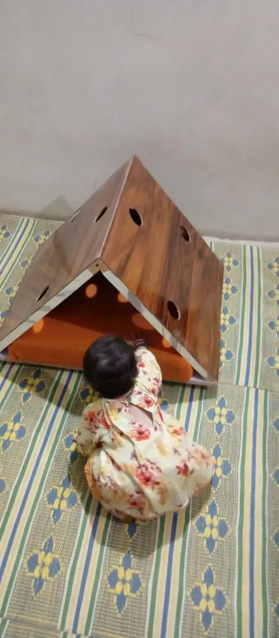 cats house  beautiful — photo 2