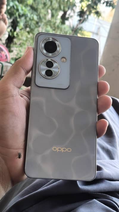 OPPO Reno11 F 5G only chrger All ok 8/256 box kor wrak de