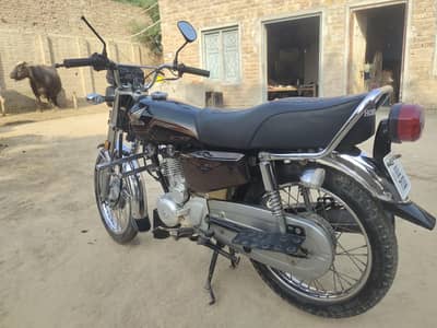 Honda CD 125 Gold Edition Self Start
