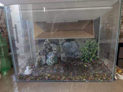 Aquarium