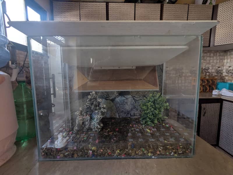 Aquarium 3