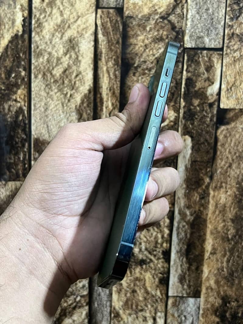 Apple iPhone 13 Pro Max 1