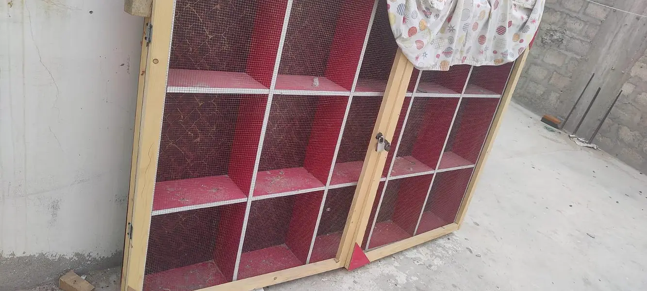 Kabutaron ka PINJRA 4×3 Condition 10/10 — photo 2