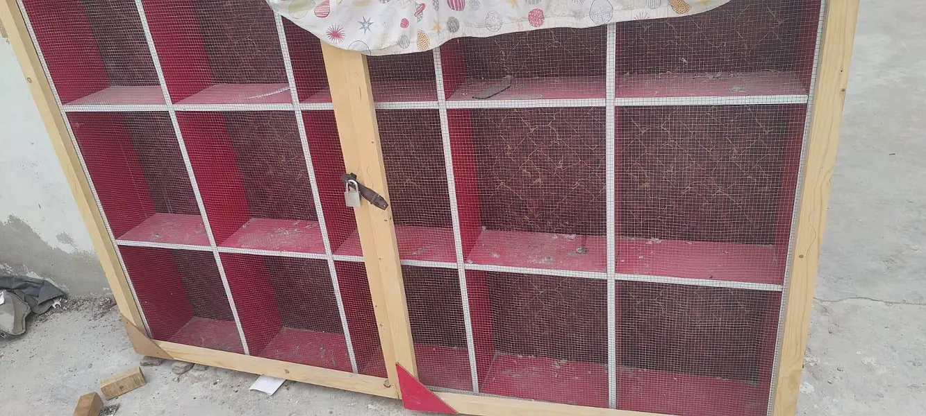 Kabutaron ka PINJRA 4×3 Condition 10/10 — photo 3