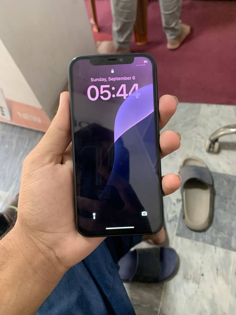 Apple iPhone 12 0