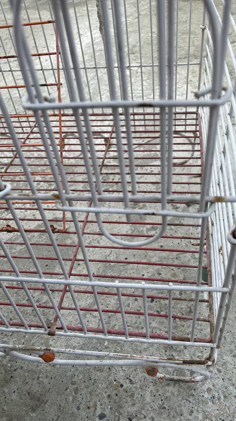 Large size bird cage 1