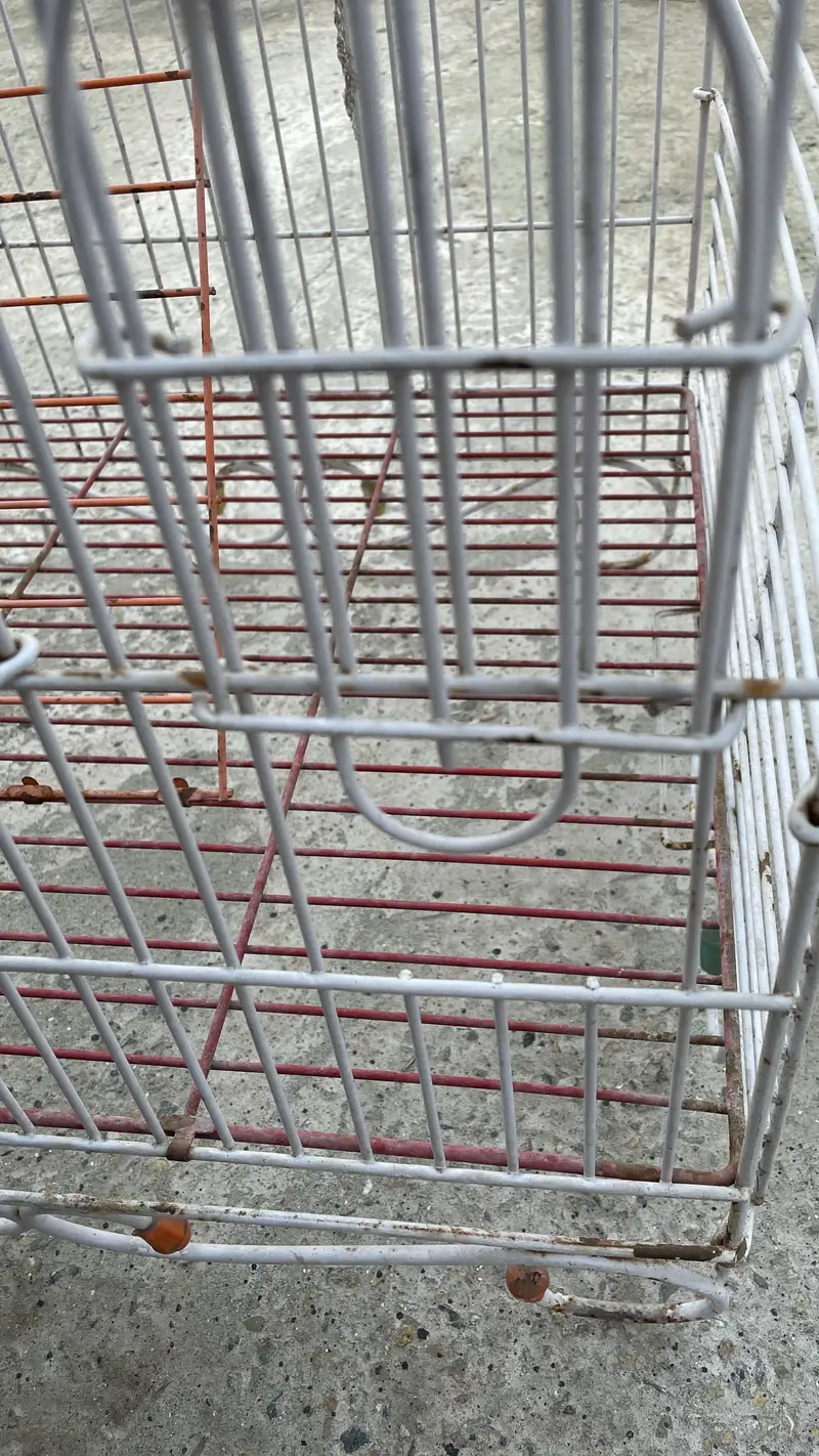 Large size bird cage — photo 2
