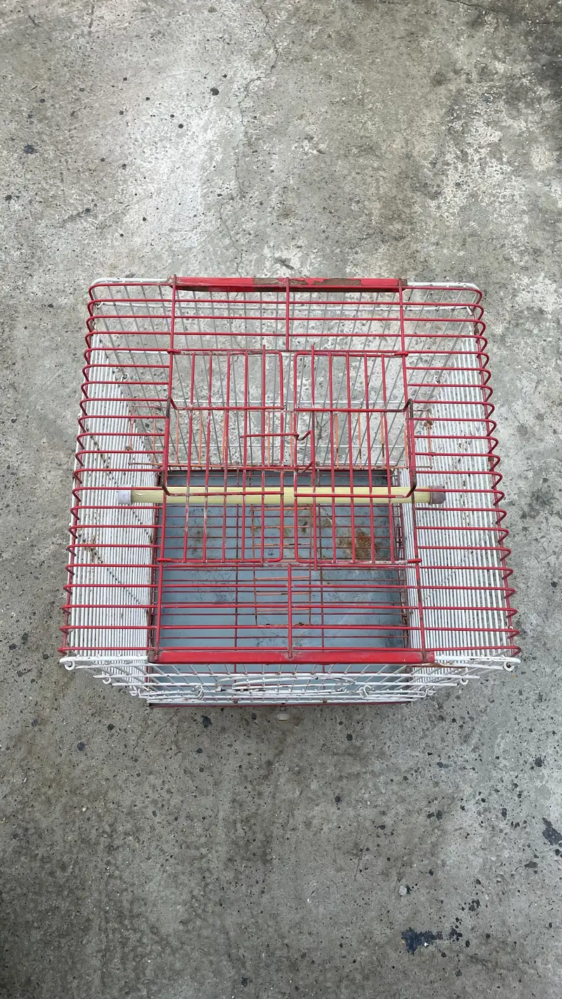 Large size bird cage — photo 4