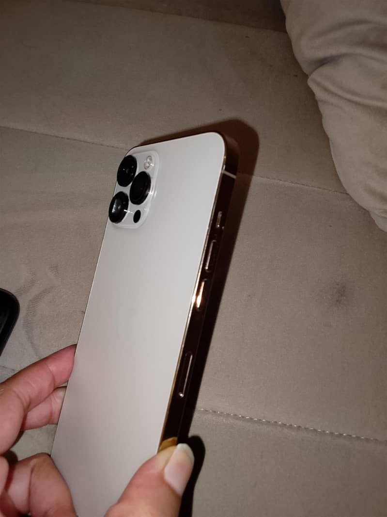 Apple iPhone 12 Pro Max 2