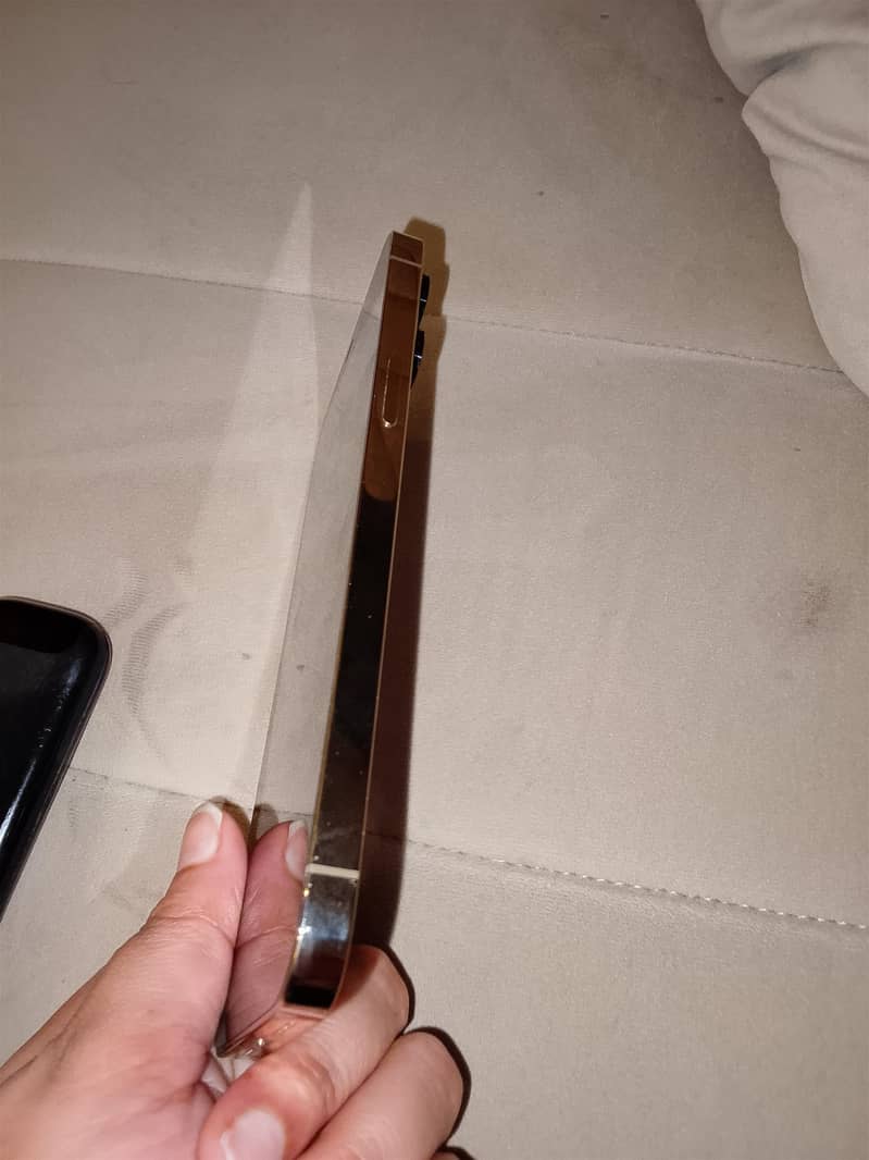 Apple iPhone 12 Pro Max 5