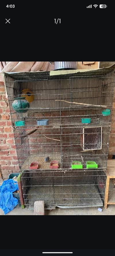 cage for sale urgant