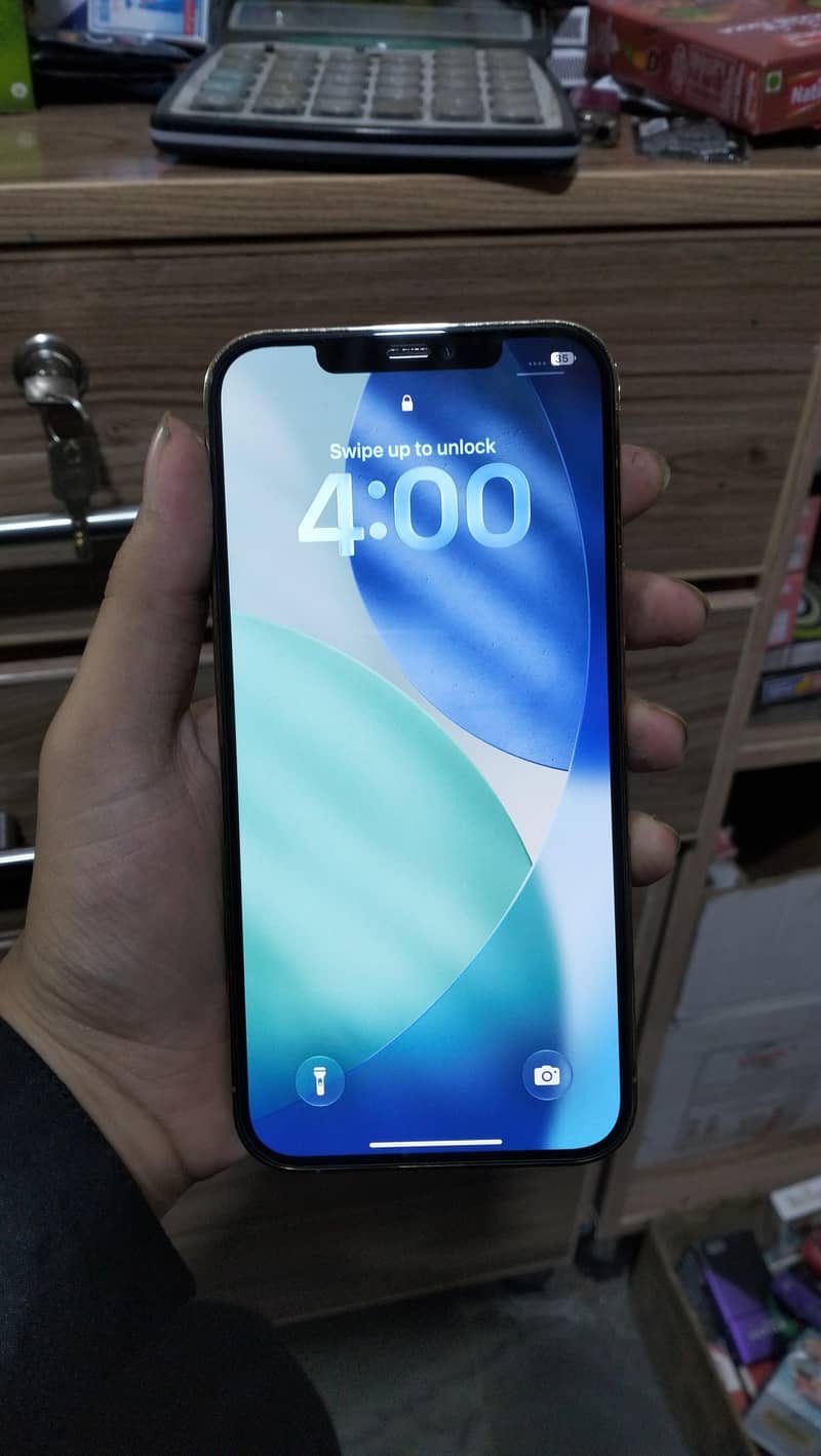Apple iPhone 12 Pro Max 1