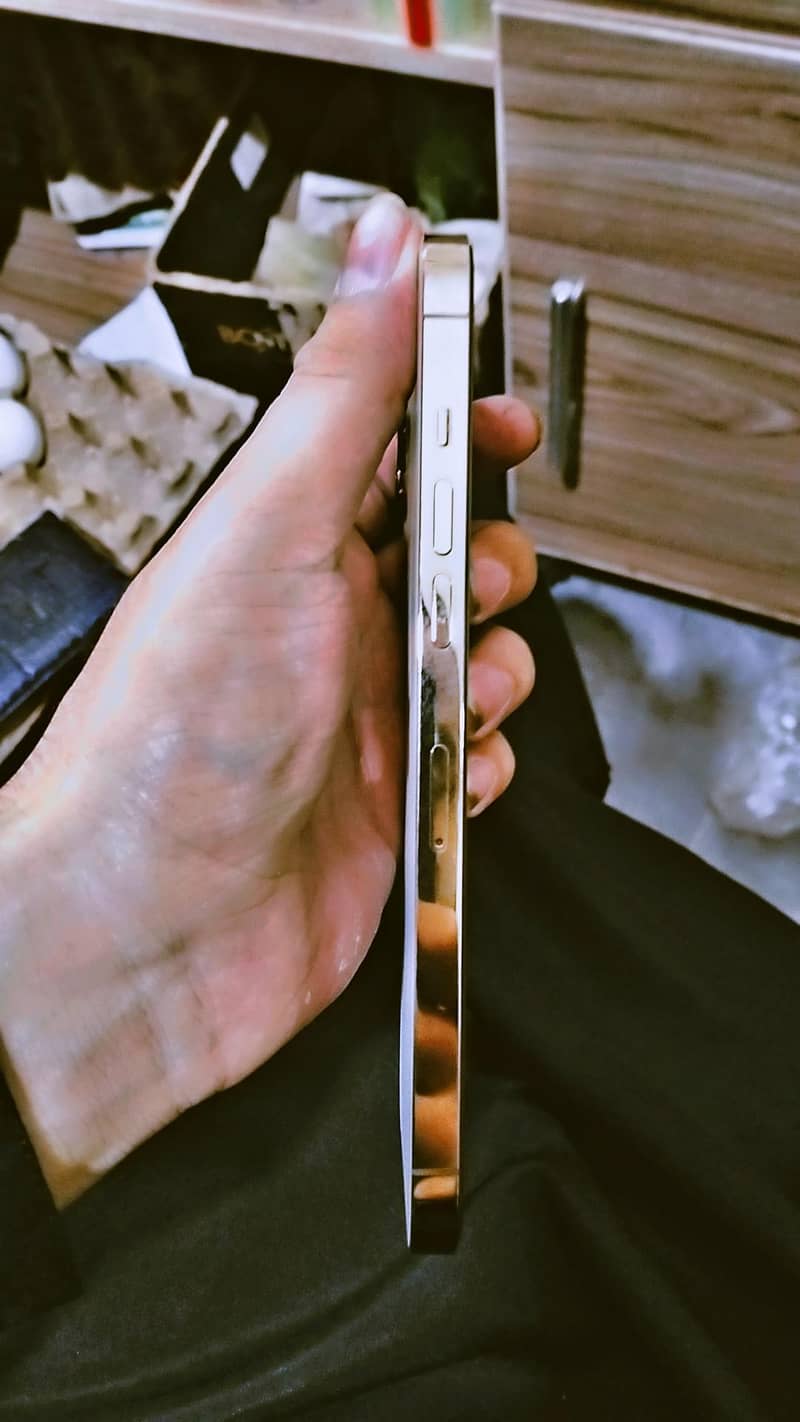 Apple iPhone 12 Pro Max 4