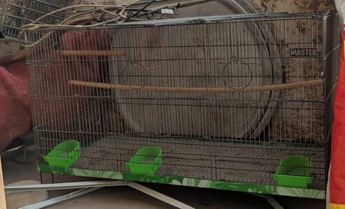 love bird cage
