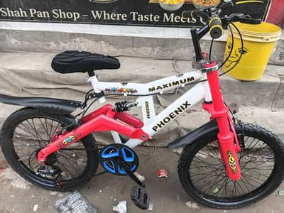 20 inch importand bicycle