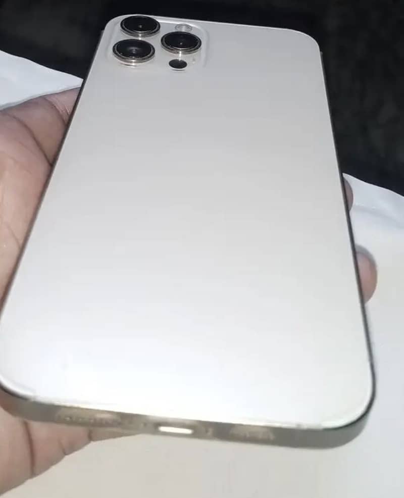 Apple iPhone 12 Pro Max 1