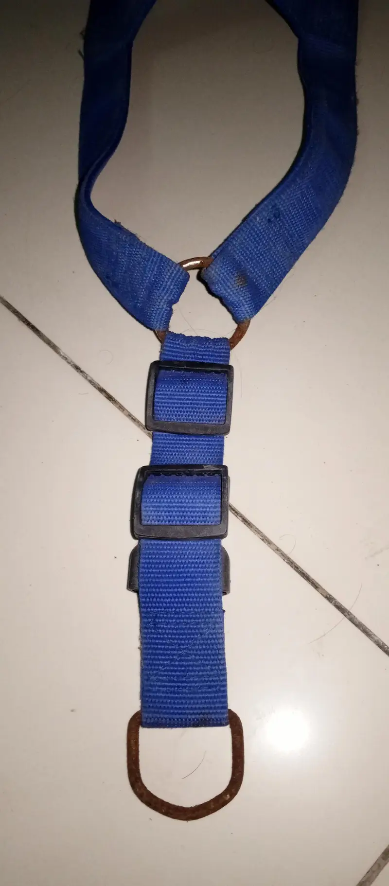 dog/cat leash and body harness — photo 7