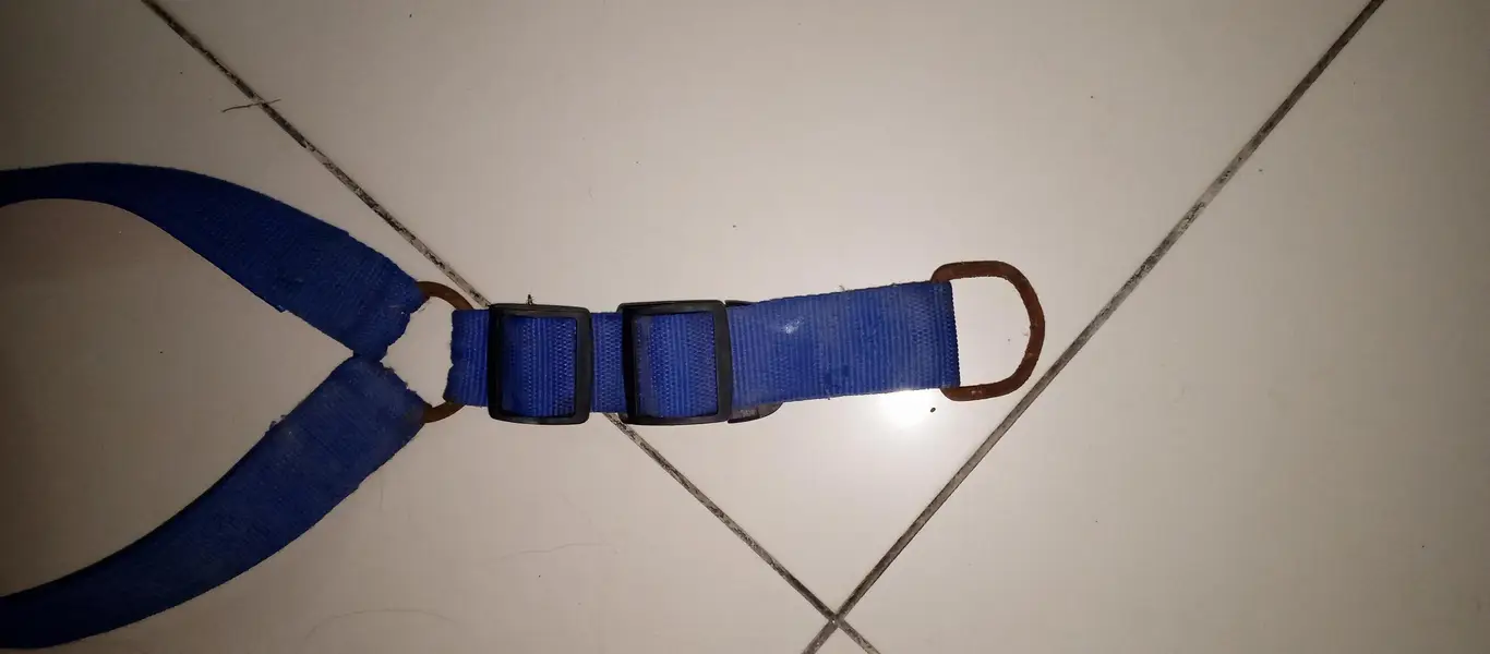 dog/cat leash and body harness — photo 8