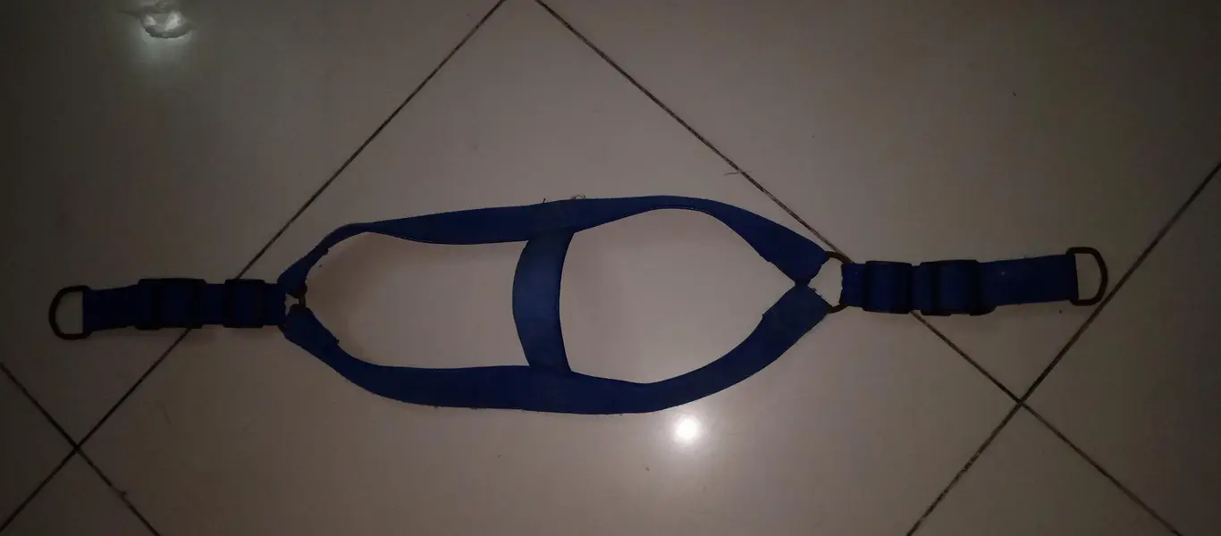 dog/cat leash and body harness — photo 9