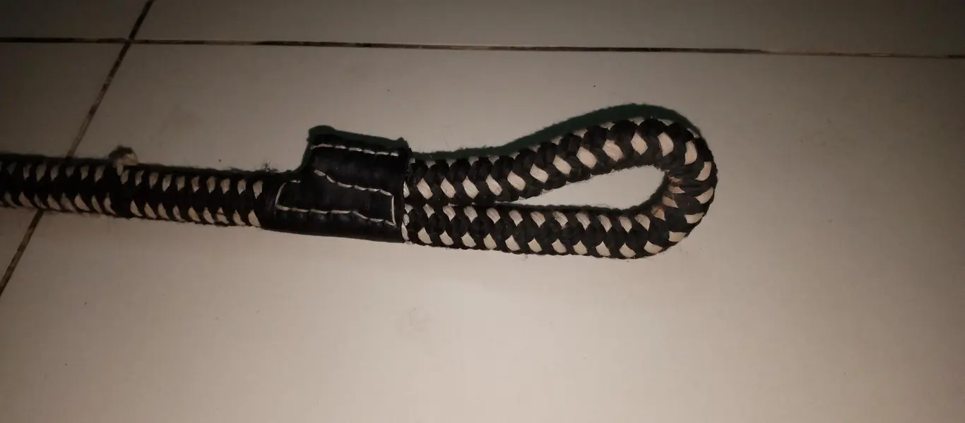 dog/cat leash and body harness — photo 10