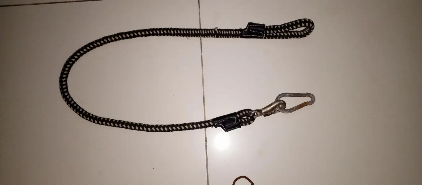 dog/cat leash and body harness — photo 11