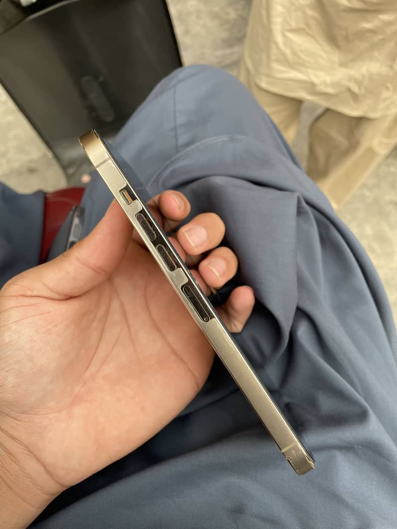 Apple iPhone 13 Pro Max 1