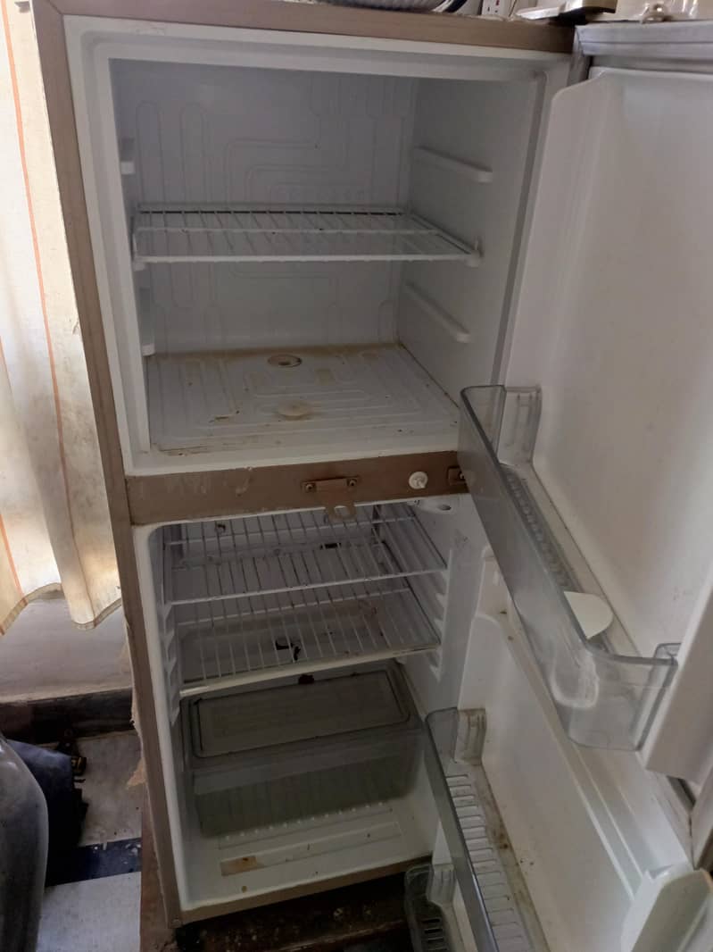 fridge waves 1
