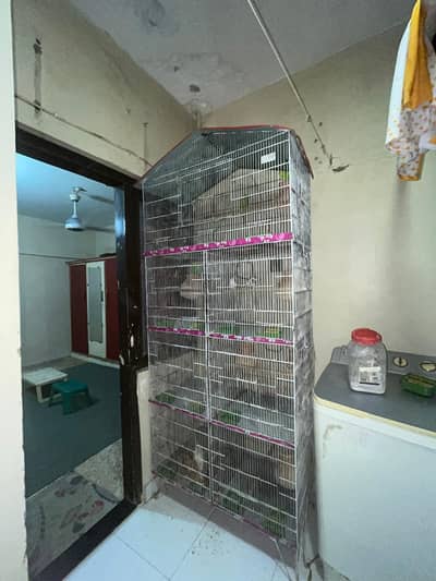 Pinjra For sale Cage For sale