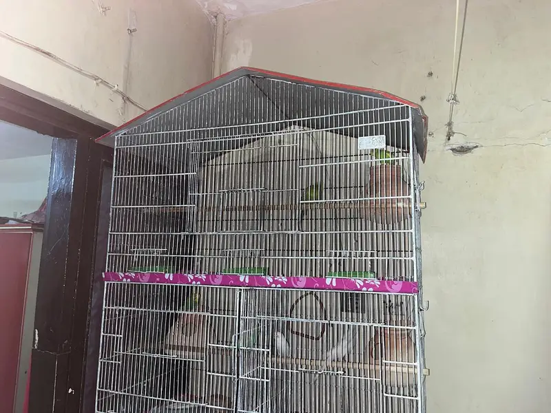 Pinjra For sale Cage For sale — photo 2