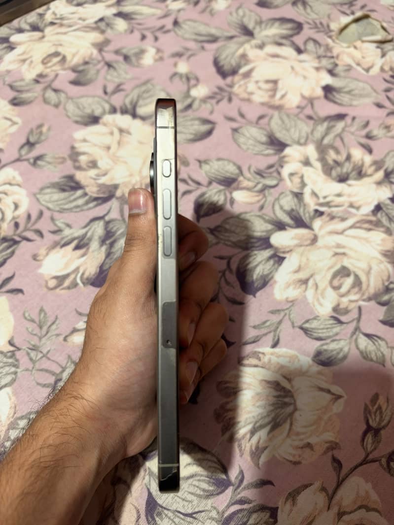 Apple iPhone 15 Pro Max 1