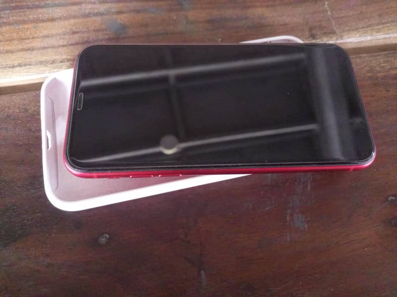 Apple iPhone 11 1