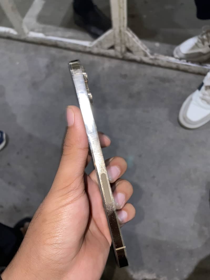 Apple iPhone 12 Pro Max 1