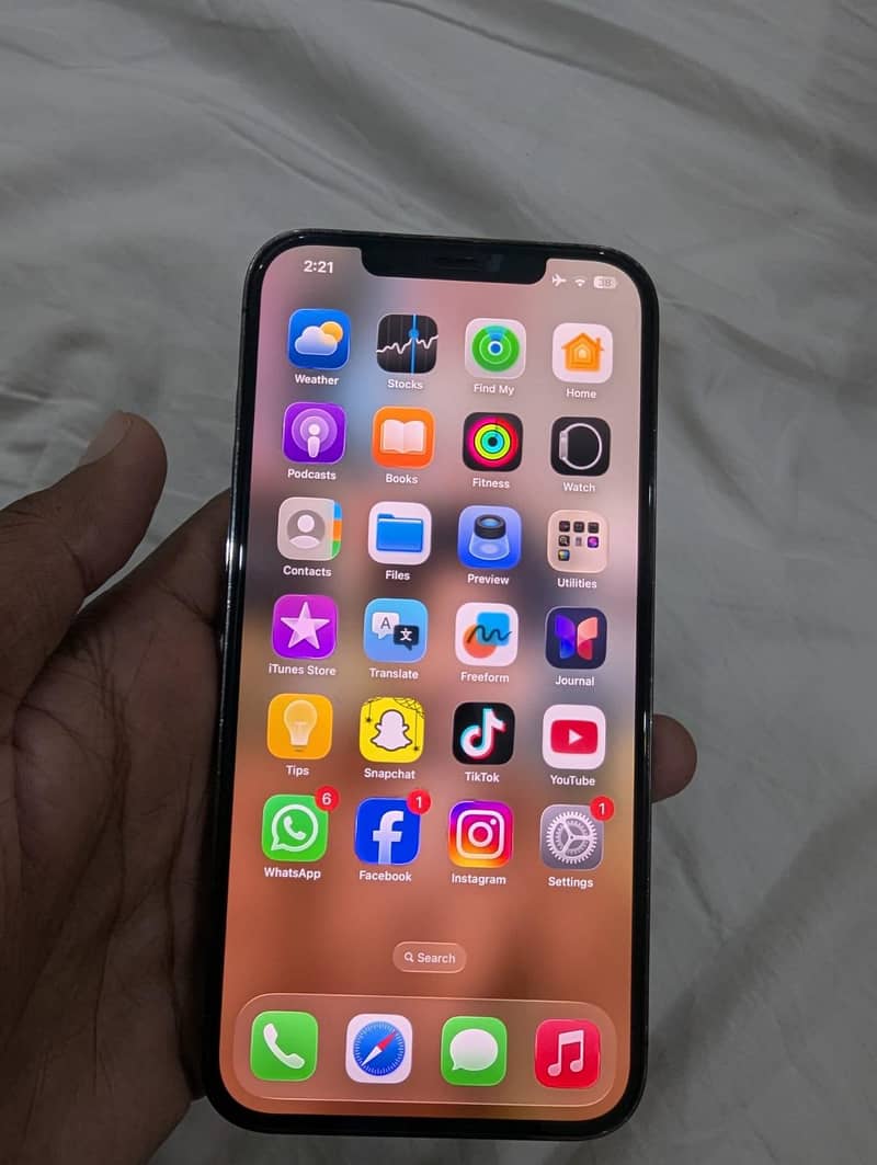 Apple iPhone 12 Pro Max 1