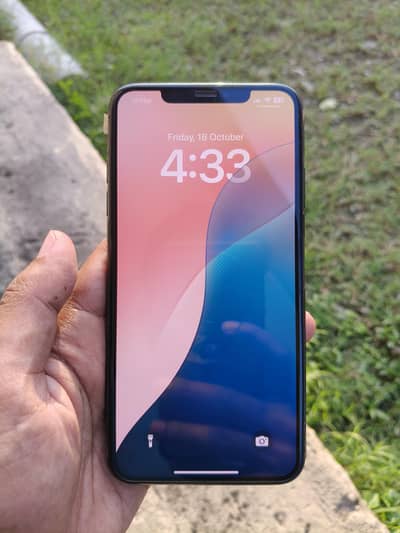 Apple iPhone XS Max 256 GB Non PTA