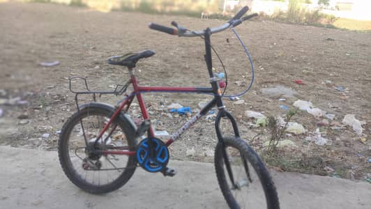 Phoenix Cycle 20 inch for sale